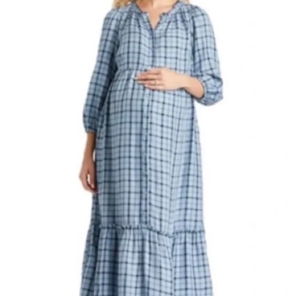 NWOT Isabel Maternity Dress
